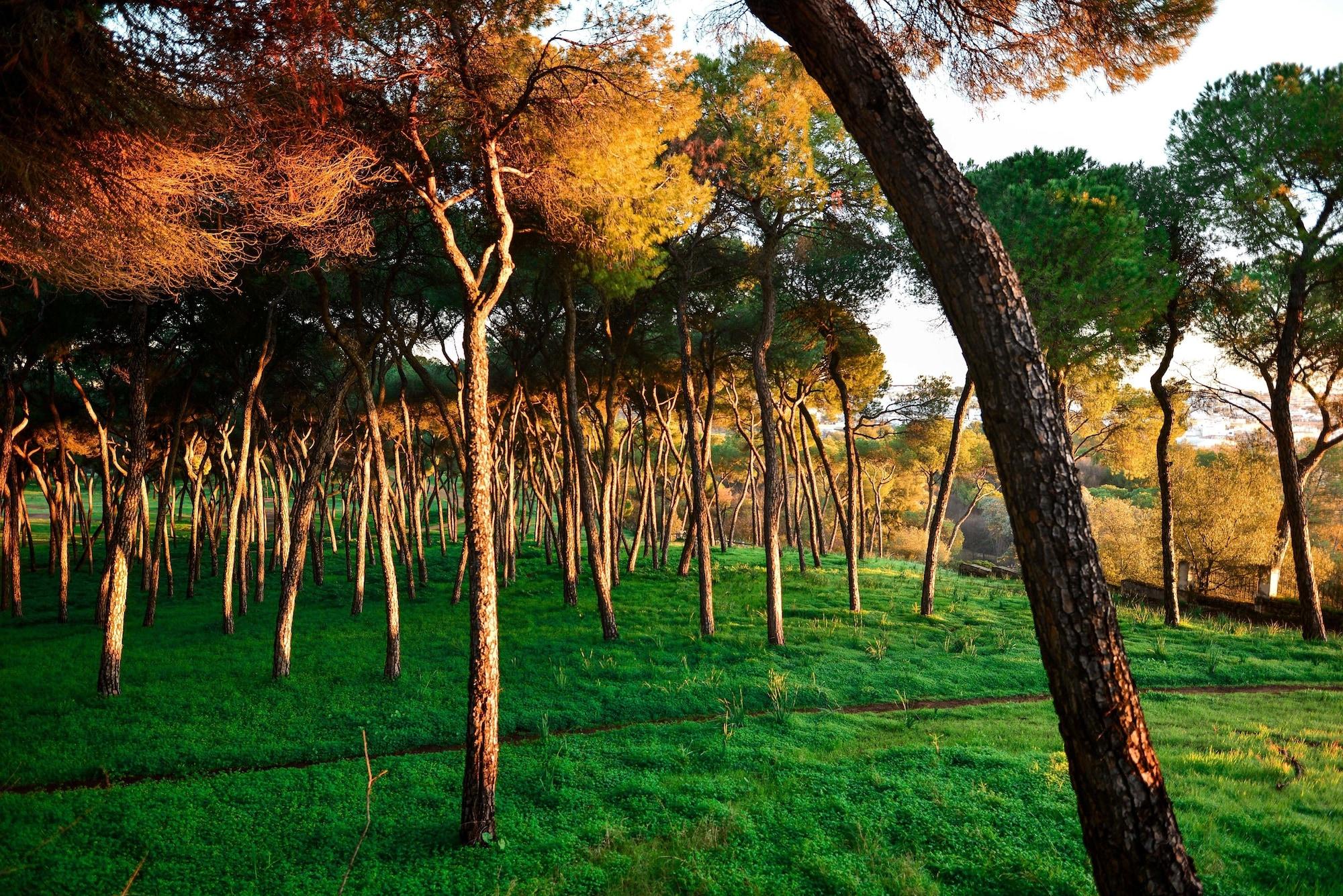 Oromana 3* Alcalá de Guadaira