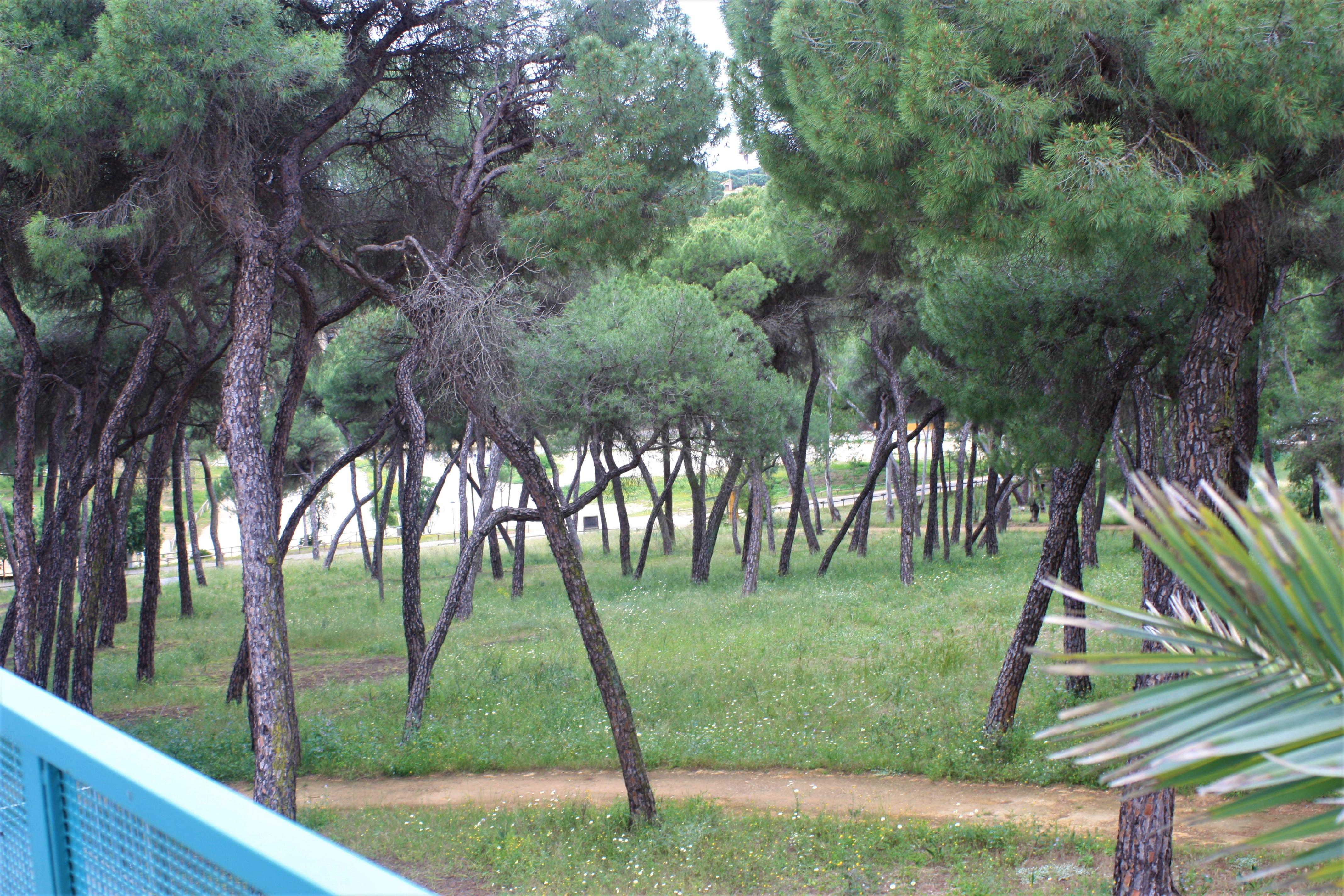 Legado Oromana Hotel 3*