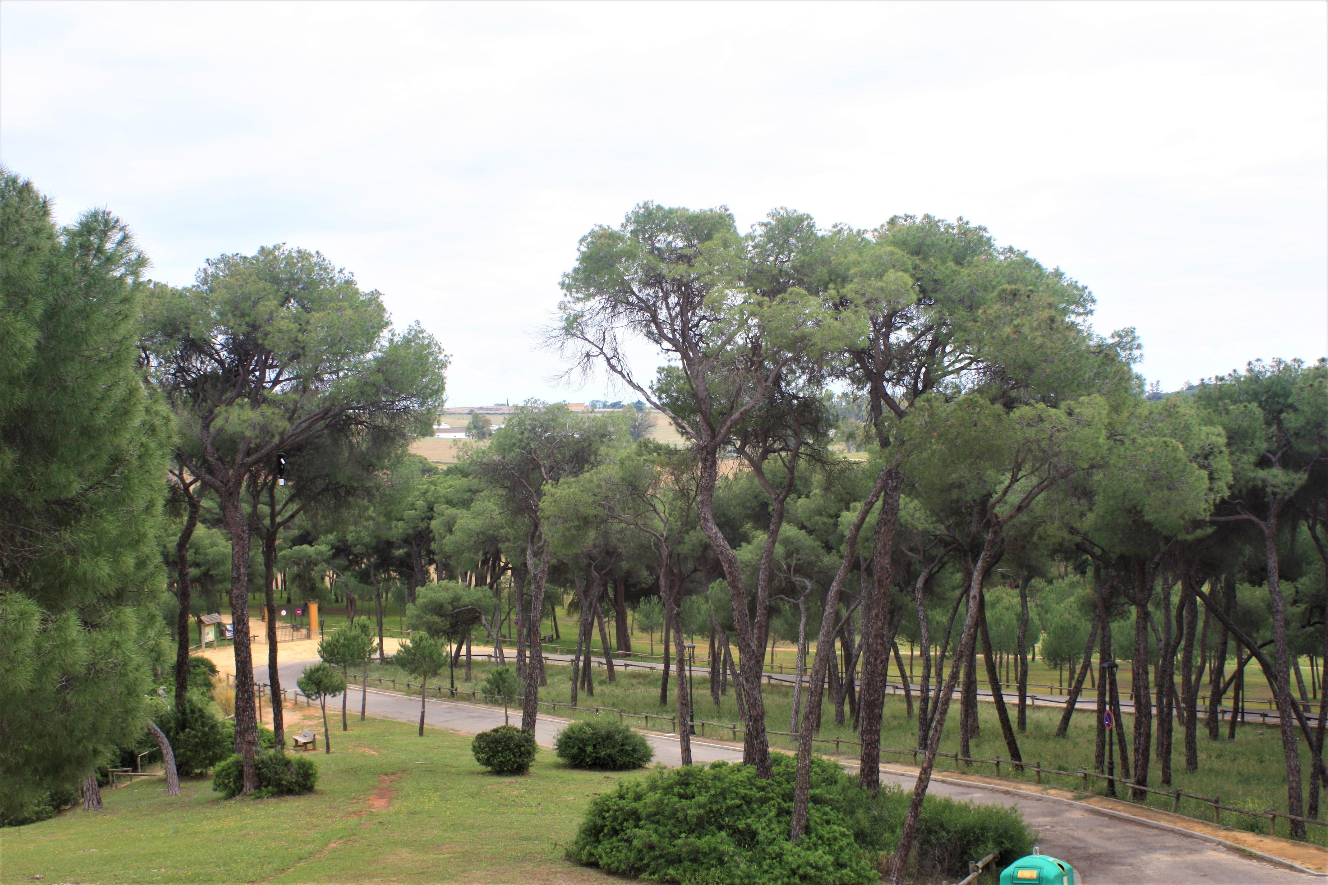 Hotel Legado Oromana 3*